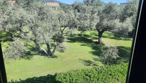 Dolce Relax - Calabria - Foto 1, Garden view