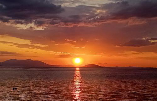 Apartment Xenia - Photo 4