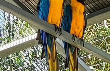 Au petit bonheur - Foto 43