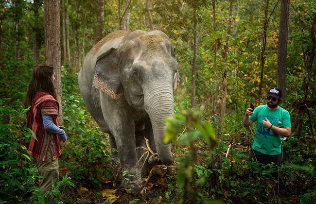 Excursão ao santuário de elefantes de Samui - Foto 8