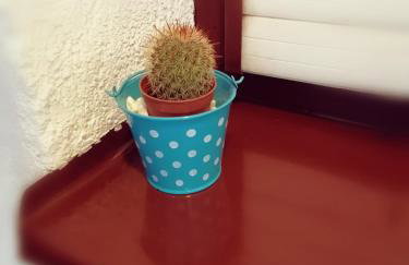 Studio apartment Meli - Foto 43