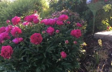 Ferienwohnung zum Dorfwirt - Foto 37