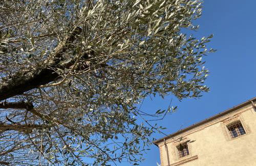 Ca' Salva Rustic Charme - Foto 56