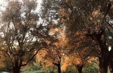 Casale della Spinosa - Foto 18