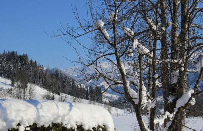 Chalet in Maria Alm Near Hochkonig Ski Lift - Foto 18