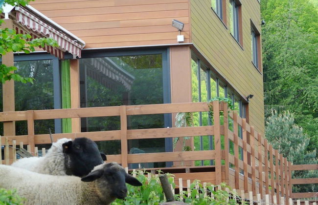 Lovely Modern Cottage With Sauna, Bubble Baths and Even a Beach on the River - Photo 22