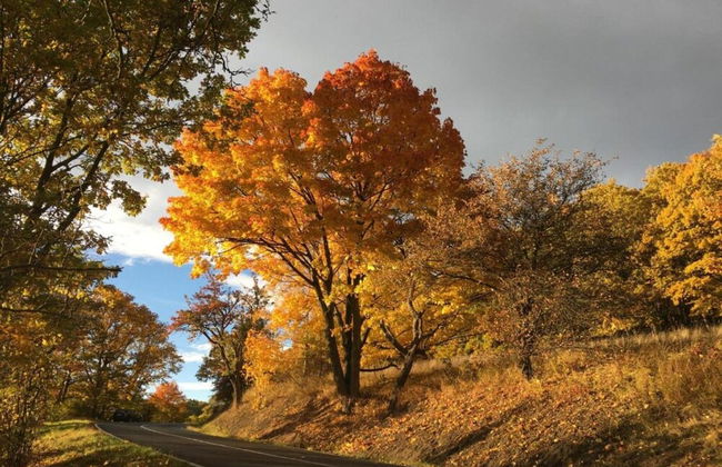 House in Bohemian Near Ski Slope - Foto 21