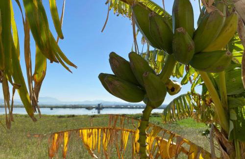 Villa Esclusiva in Riserva Naturale - Foto 2