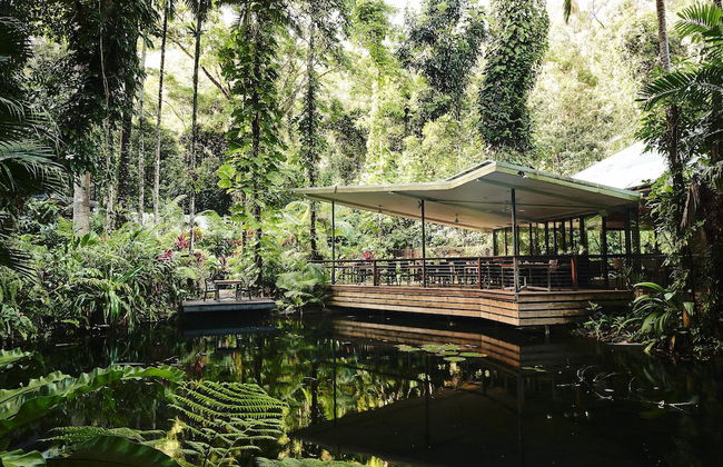 Daintree Ecolodge - Photo 43