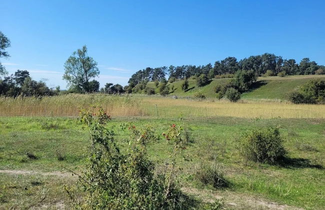 Ferienhof Neuendorfkrug, Lutow - Foto 16