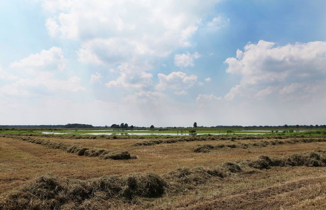 Tranquil Farmhouse near Forest in Ulicoten with Terrace - Photo 34