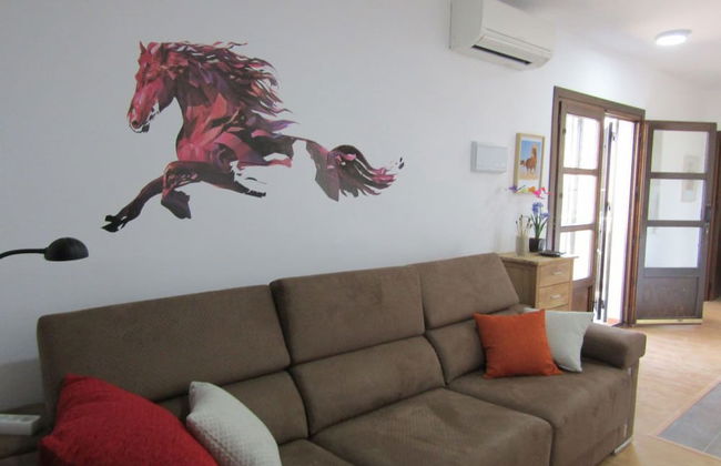 Caballo de Mar Frison - Foto 9