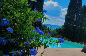 Apartments & Pool & Wellness Pool - Foto 46