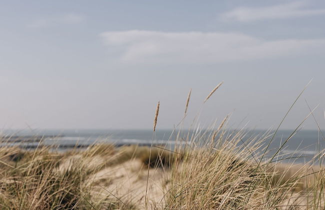 Modern Holiday Home, Near the Sea - Photo 19