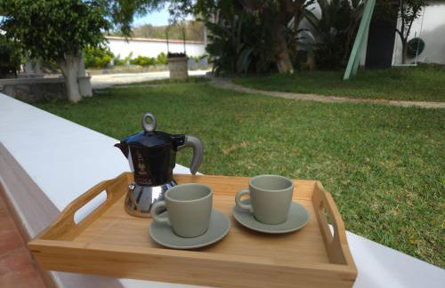 Gardel Nature - Foto 8