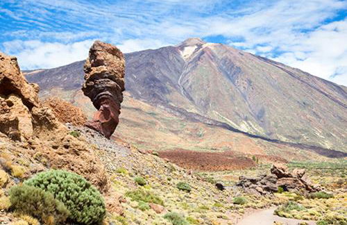 La Favorita - Foto 21