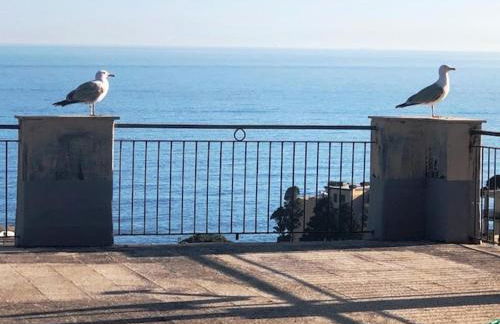 Romantic garden sea view Nervi - Foto 17