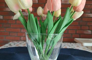 EliBlue -Twój apartament - Foto 5