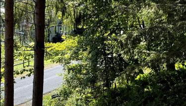 Roscoe Pine House - Foto 5