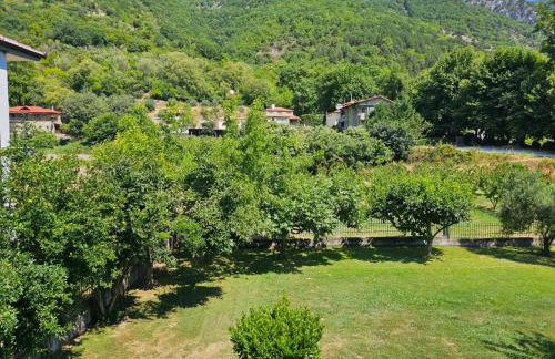 Hillside View Home - Photo 26