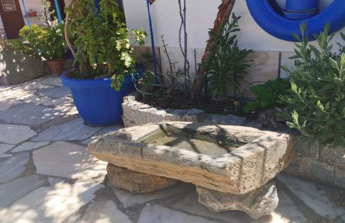 Casa dos Avós - Foto 6