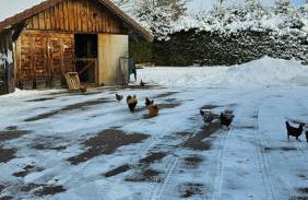 Gîte du Grand Cher - Foto 13