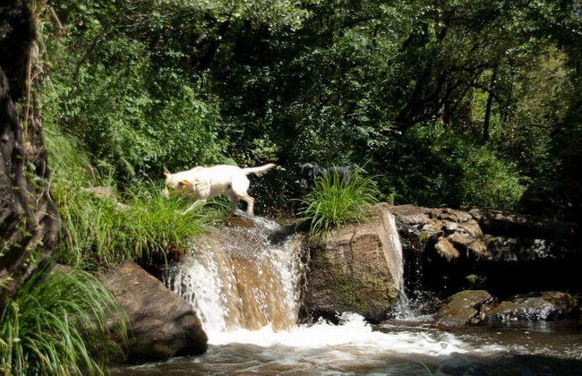 O Muíño de Pena Casa Rural - Photo 45