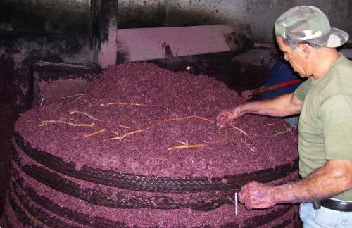 Etna Wine Azienda Agrituristica - Foto 24