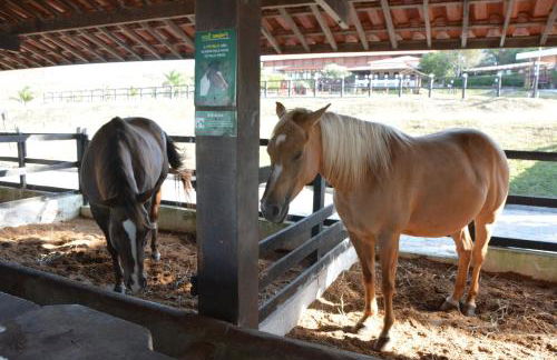 FLAT MONTE CASTELO GRAVATÁ 2 QUARTOS COM AR CONDICIONADO - WIFi - Foto 25