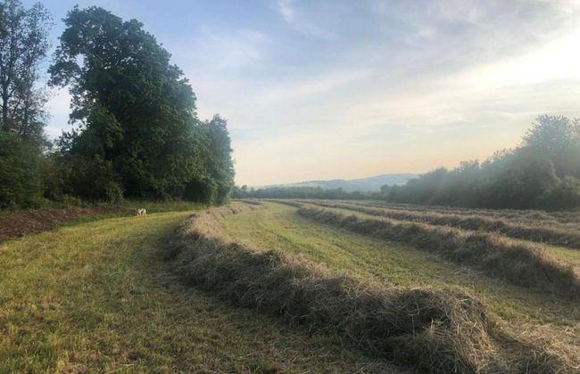 Family Escape With Pool - Foto 38