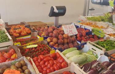 Villa Sara - Seeblick - Sea view - Foto 31