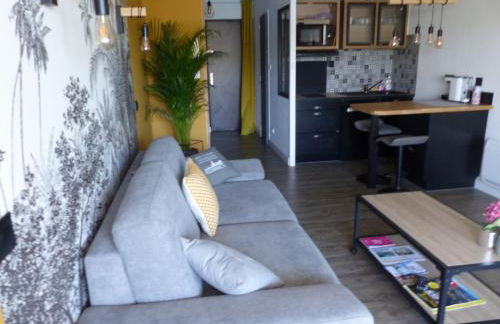 studio exposé plein sud vu sur le port de plaisance - Foto 9