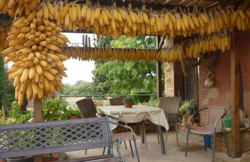 Mas Puig Roig - Foto 32