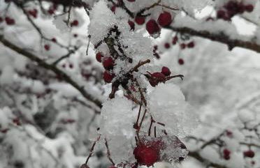 Agriturismo LA VECCHIA CASCINA - Foto 32
