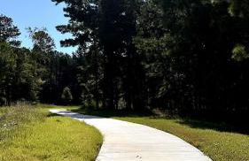 Casa Aluna, a family retreat with soul - Foto 30