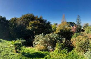 Ty Kellen - Photo 32