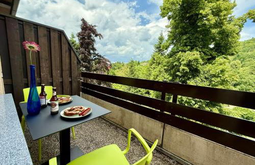 Black Forest Apartment - Bollenhut - Foto 12