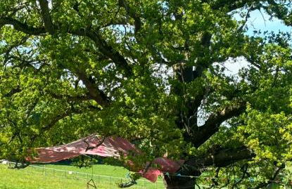 Goldings detached Barn farm stay - Foto 9