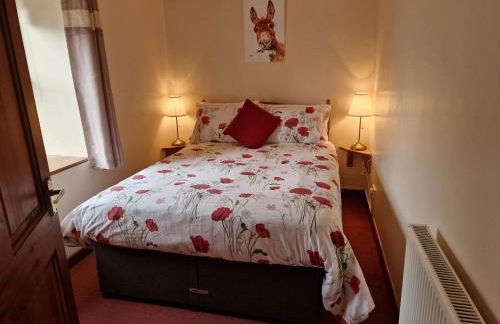 Ddol Cottage Traditional Coastal cottage nr Llangrannog & New Quay with Donkeys - Photo 3