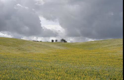 Monte das Doceitas - Foto 1