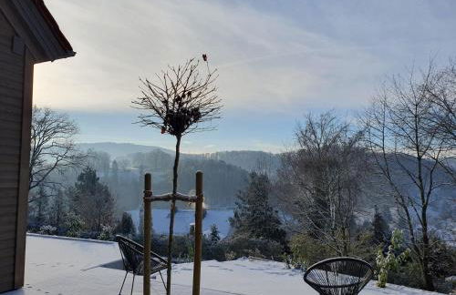 Odenwald-Lodge mit Infrarotsauna und E-Ladestation "Haus Purpur" - Foto 29