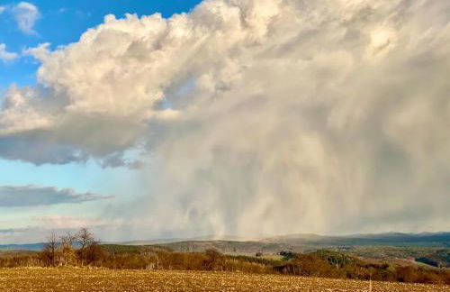 Ferienwohnung Natur und Kunst - Foto 30