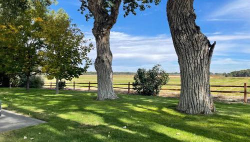 Behm's Farm - Foto 4