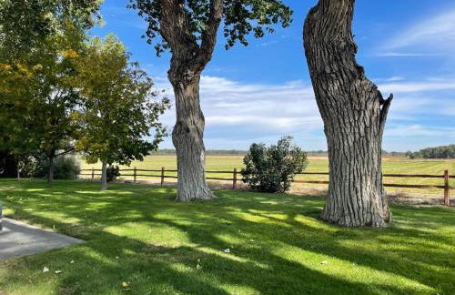 Behm's Farm - Foto 4