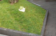 Gartencharlet - Foto 27