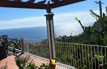 Tropical Garden - Photo 70