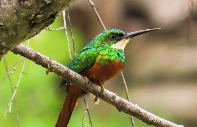 El Cielo Biohospedaje - Foto 45