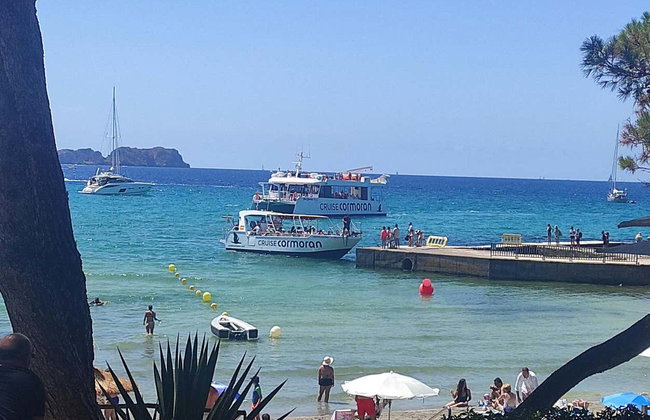 Avistamiento de delfines en el sur de Mallorca - Foto 9