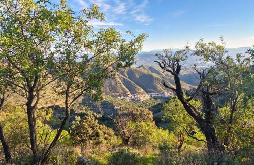 Los Tumbaos - El pajar y despierta con unas vistas de ensueño - Photo 18