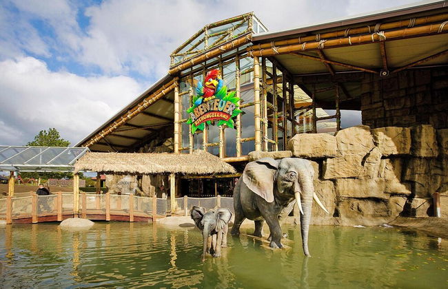 Appartements im Freizeitpark Weissenhauser Strand - Foto 13